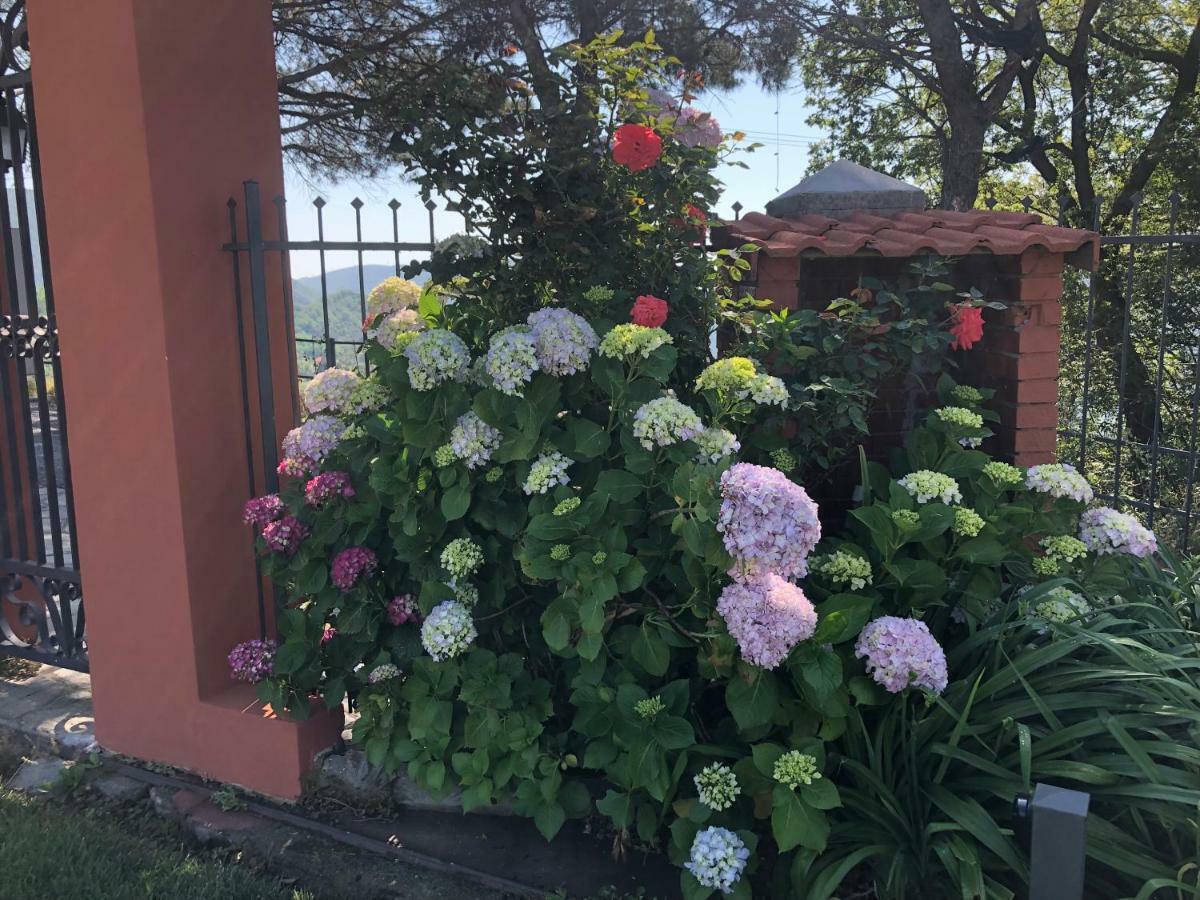 Locanda Costa Otto.Zero San Martino  ภายนอก รูปภาพ